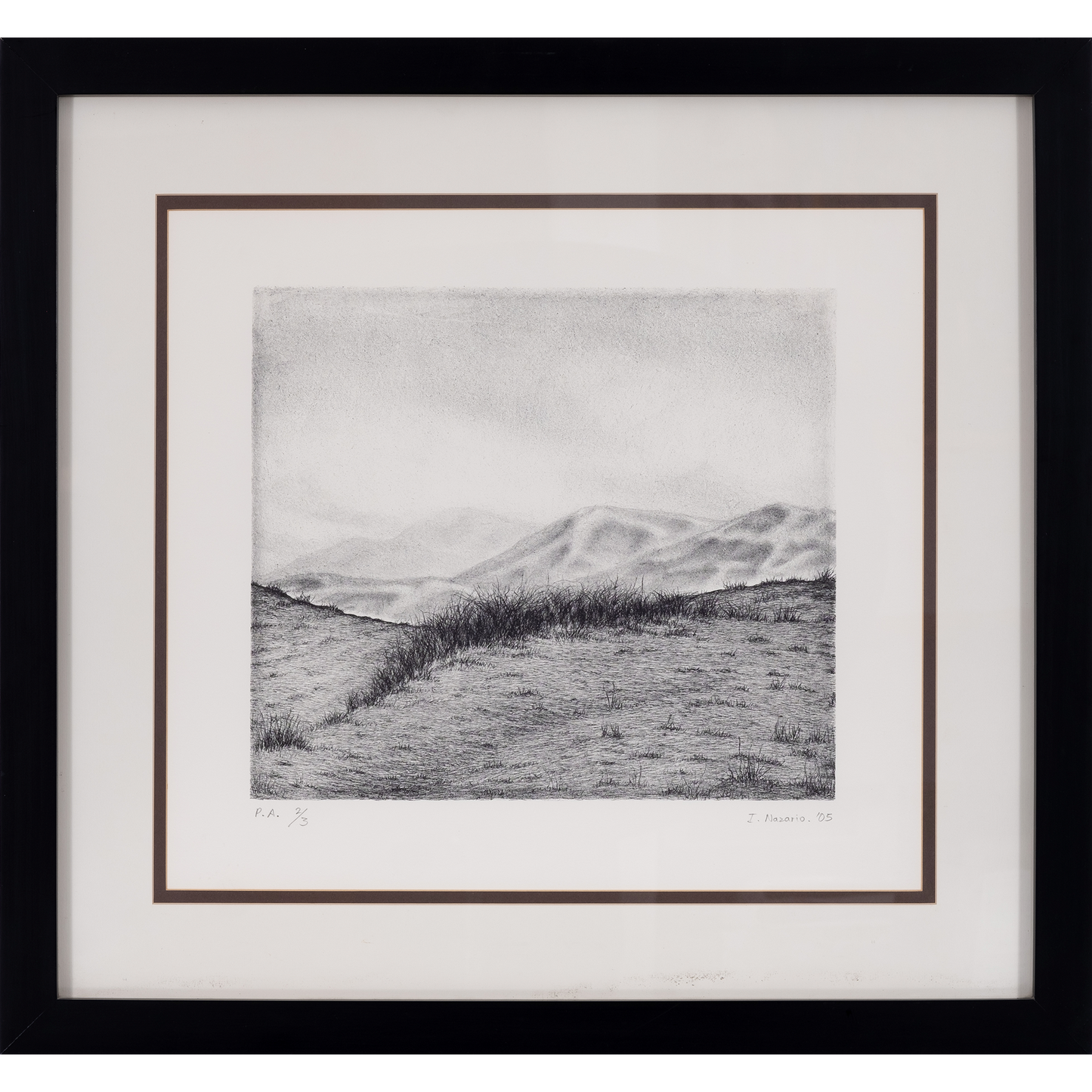 Pastizal entre montañas